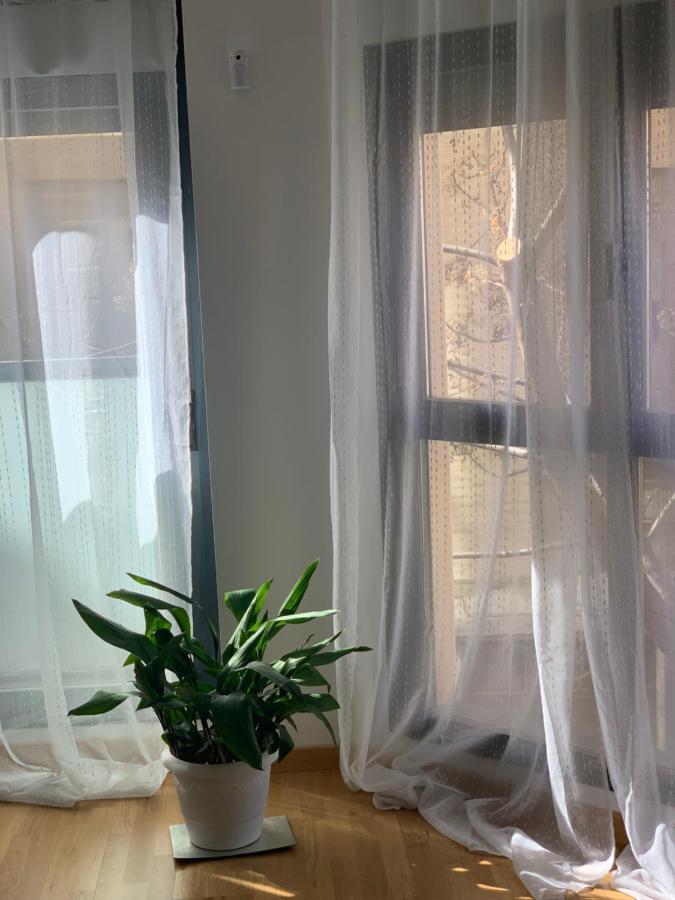 New, Cozy Apartment Plaza Del Pilar-Fuenclara 萨拉戈萨 外观 照片